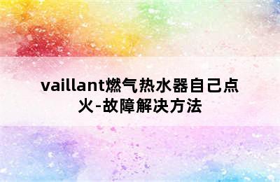 vaillant燃气热水器自己点火-故障解决方法