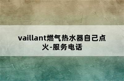 vaillant燃气热水器自己点火-服务电话