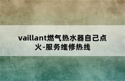 vaillant燃气热水器自己点火-服务维修热线