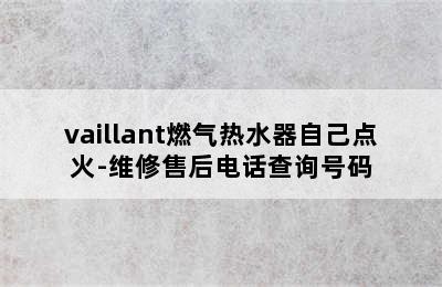 vaillant燃气热水器自己点火-维修售后电话查询号码