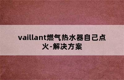 vaillant燃气热水器自己点火-解决方案