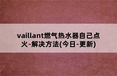 vaillant燃气热水器自己点火-解决方法(今日-更新)