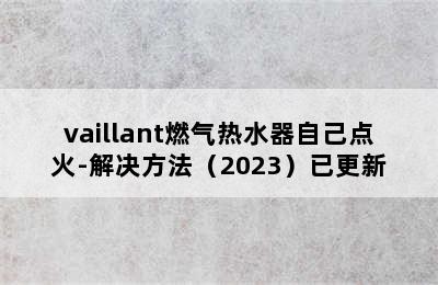 vaillant燃气热水器自己点火-解决方法（2023）已更新