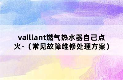 vaillant燃气热水器自己点火-（常见故障维修处理方案）