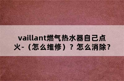 vaillant燃气热水器自己点火-（怎么维修）？怎么消除？