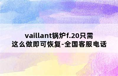 vaillant锅炉f.20只需这么做即可恢复-全国客服电话