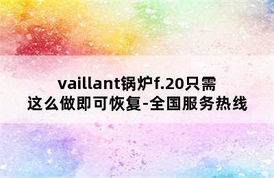 vaillant锅炉f.20只需这么做即可恢复-全国服务热线