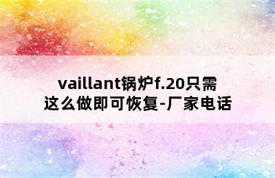 vaillant锅炉f.20只需这么做即可恢复-厂家电话