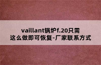 vaillant锅炉f.20只需这么做即可恢复-厂家联系方式