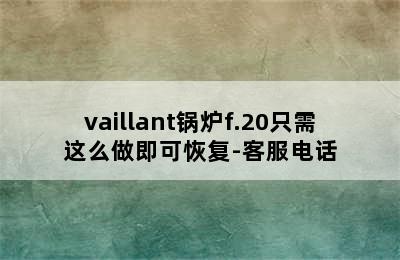 vaillant锅炉f.20只需这么做即可恢复-客服电话