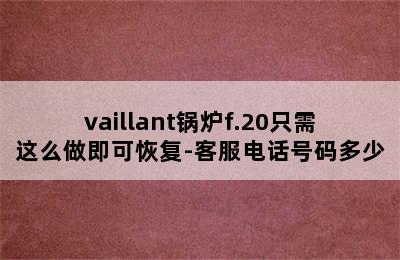 vaillant锅炉f.20只需这么做即可恢复-客服电话号码多少