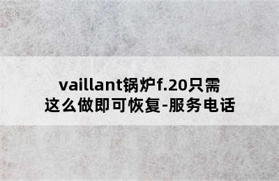 vaillant锅炉f.20只需这么做即可恢复-服务电话