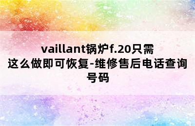 vaillant锅炉f.20只需这么做即可恢复-维修售后电话查询号码