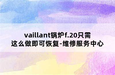 vaillant锅炉f.20只需这么做即可恢复-维修服务中心