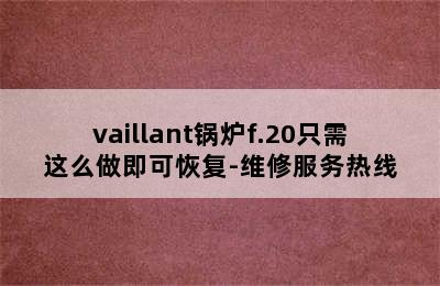 vaillant锅炉f.20只需这么做即可恢复-维修服务热线