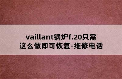 vaillant锅炉f.20只需这么做即可恢复-维修电话