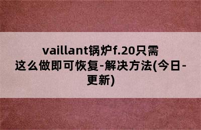 vaillant锅炉f.20只需这么做即可恢复-解决方法(今日-更新)