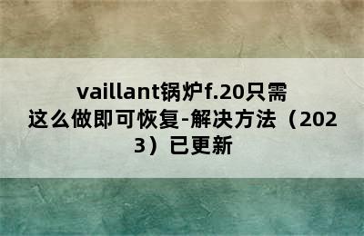 vaillant锅炉f.20只需这么做即可恢复-解决方法（2023）已更新