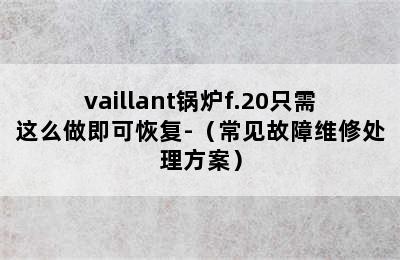 vaillant锅炉f.20只需这么做即可恢复-（常见故障维修处理方案）