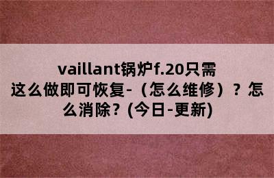 vaillant锅炉f.20只需这么做即可恢复-（怎么维修）？怎么消除？(今日-更新)