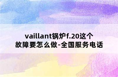 vaillant锅炉f.20这个故障要怎么做-全国服务电话