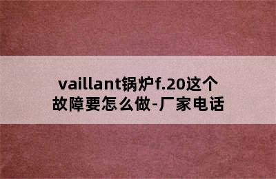 vaillant锅炉f.20这个故障要怎么做-厂家电话