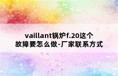 vaillant锅炉f.20这个故障要怎么做-厂家联系方式