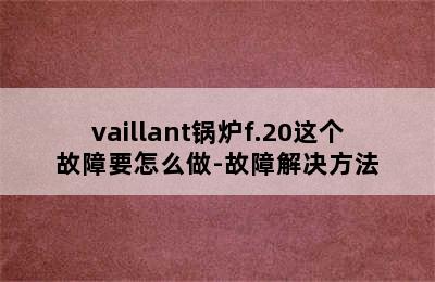 vaillant锅炉f.20这个故障要怎么做-故障解决方法