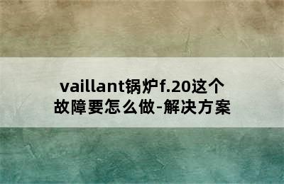 vaillant锅炉f.20这个故障要怎么做-解决方案