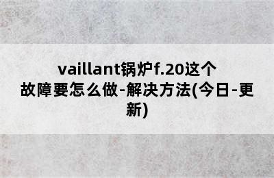 vaillant锅炉f.20这个故障要怎么做-解决方法(今日-更新)