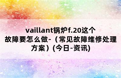 vaillant锅炉f.20这个故障要怎么做-（常见故障维修处理方案）(今日-资讯)