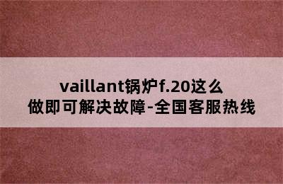 vaillant锅炉f.20这么做即可解决故障-全国客服热线