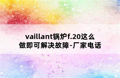 vaillant锅炉f.20这么做即可解决故障-厂家电话