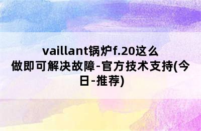 vaillant锅炉f.20这么做即可解决故障-官方技术支持(今日-推荐)