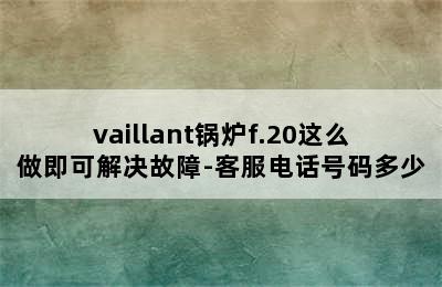 vaillant锅炉f.20这么做即可解决故障-客服电话号码多少