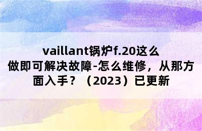 vaillant锅炉f.20这么做即可解决故障-怎么维修，从那方面入手？（2023）已更新