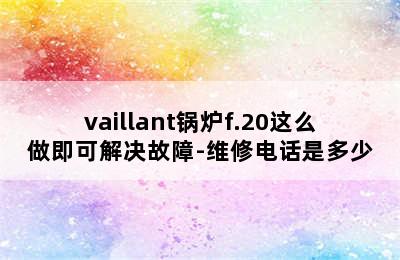 vaillant锅炉f.20这么做即可解决故障-维修电话是多少