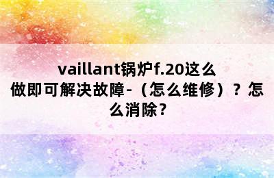 vaillant锅炉f.20这么做即可解决故障-（怎么维修）？怎么消除？