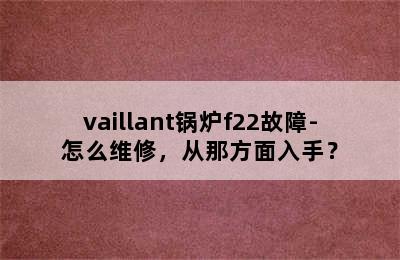 vaillant锅炉f22故障-怎么维修，从那方面入手？