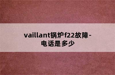 vaillant锅炉f22故障-电话是多少