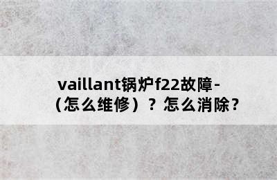 vaillant锅炉f22故障-（怎么维修）？怎么消除？