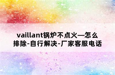 vaillant锅炉不点火—怎么排除-自行解决-厂家客服电话