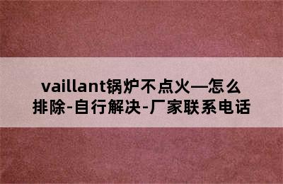 vaillant锅炉不点火—怎么排除-自行解决-厂家联系电话