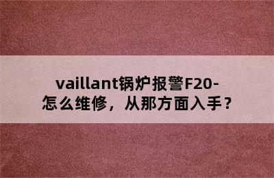 vaillant锅炉报警F20-怎么维修，从那方面入手？