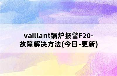 vaillant锅炉报警F20-故障解决方法(今日-更新)