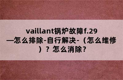 vaillant锅炉故障f.29—怎么排除-自行解决-（怎么维修）？怎么消除？