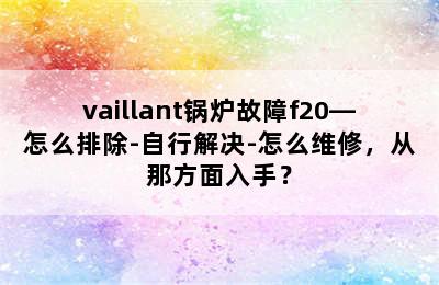 vaillant锅炉故障f20—怎么排除-自行解决-怎么维修，从那方面入手？