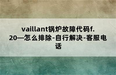 vaillant锅炉故障代码f.20—怎么排除-自行解决-客服电话