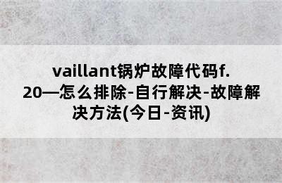 vaillant锅炉故障代码f.20—怎么排除-自行解决-故障解决方法(今日-资讯)