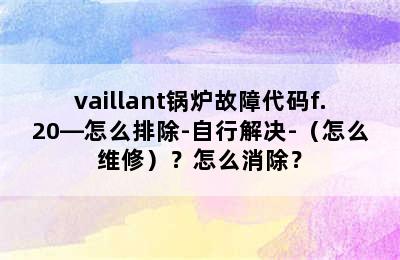 vaillant锅炉故障代码f.20—怎么排除-自行解决-（怎么维修）？怎么消除？